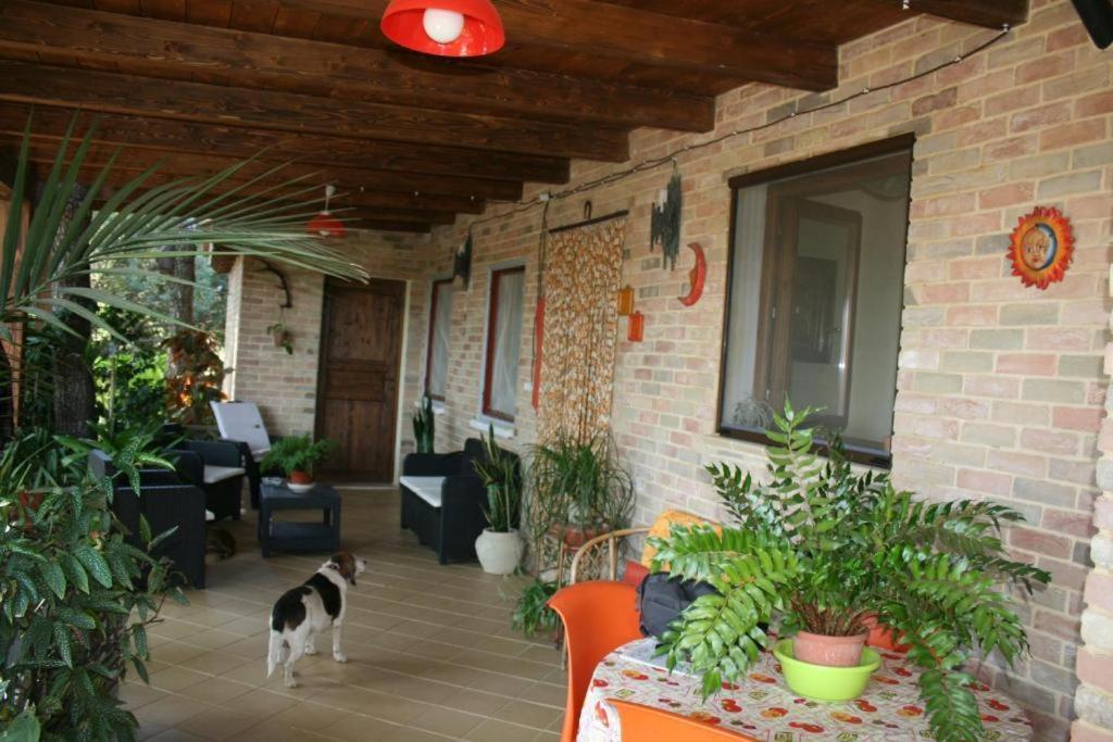 Casa Campagna Ξενοδοχείο Castiadas Εξωτερικό φωτογραφία